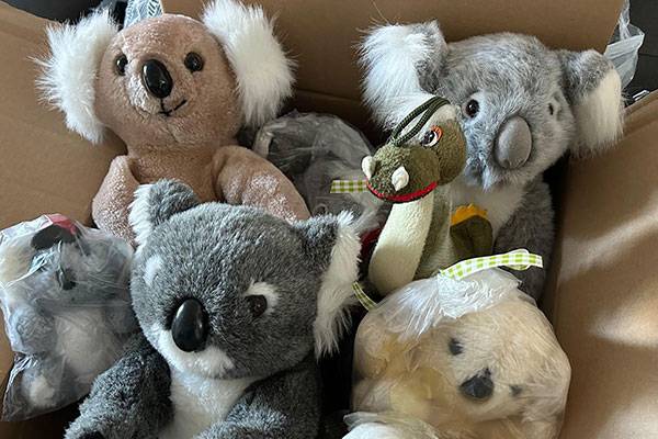 Plüschige Unterstützung für unsere Pakete